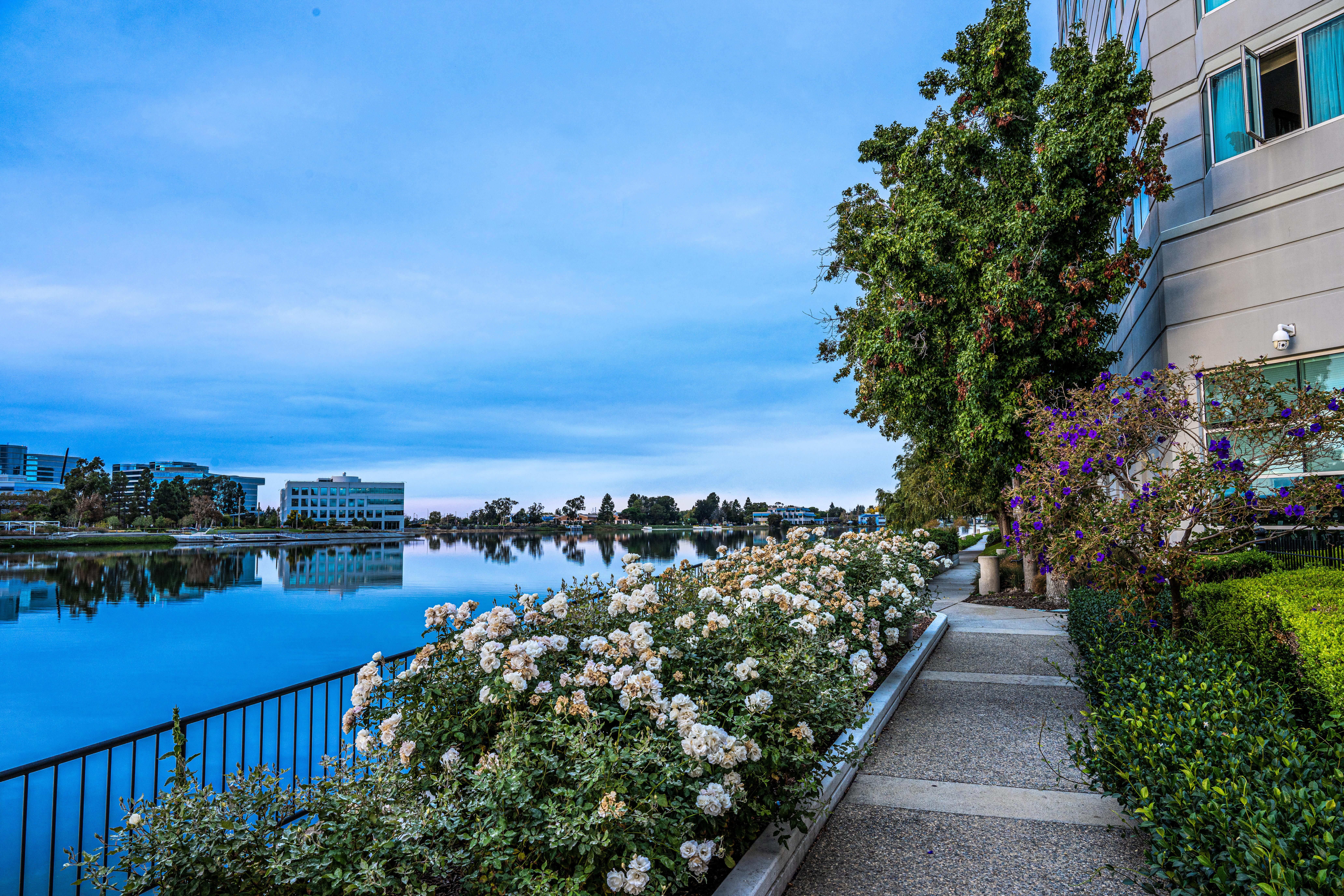 Grand Bay Hotel San Francisco Редвуд Сити Экстерьер фото
